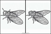 Cicaden - Dieren 5