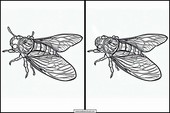 Cicadas - Animals 5