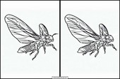 Cicaden - Dieren 6