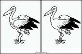 Storks - Animals 3