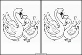 Cisnes - Animales 2