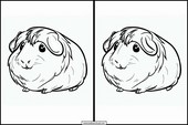 Guinea Pigs - Animals 1