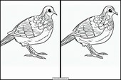 Quails - Animals 6