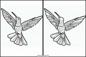 Kolibrier - Djur 1