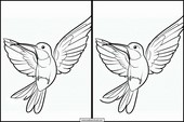 Kolibrier - Dyr 2