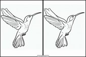 Kolibrier - Dyr 5