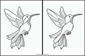 Kolibri - Dyr 6