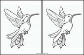 Colibris - Animales 6