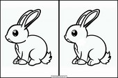 Rabbits - Animals 1