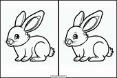 Rabbits - Animals 2