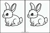 Conejos - Animales 3