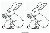 Kaniner - Djur 4
