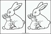 Rabbits - Animals 4