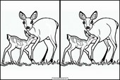 Roe Deer - Animals 2