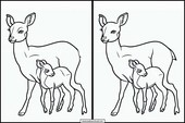 Roe Deer - Animals 3