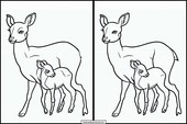 Corços - Animais 3