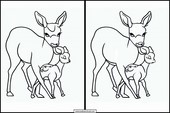 Roe Deer - Animals 6