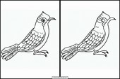 Cuckoos - Animals 6