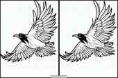 Ravens - Animals 1