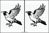 Ravens - Animals 4