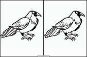 Cuervos - Animales 5