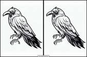Cuervos - Animales 6
