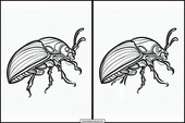 Escarabajos - Animales 1