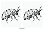 Beetles - Animals 1