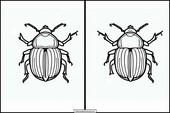 Beetles - Animals 2