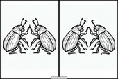 Käfer - Tiere 3