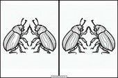 Beetles - Animals 3