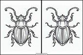 Skalbaggar - Djur 4
