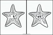 Estrelas-do-mar - Animais 1