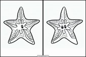 Starfish - Animals 1