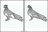 Pheasants - Animals 2