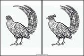 Pheasants - Animals 3