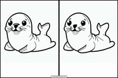 Seals - Animals 3