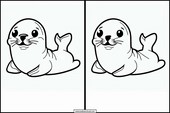 Foca - Animali 3