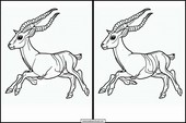 Gazelles - Animaux 1