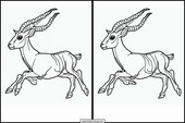 Gazelles - Dieren 1