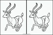 Gazelles - Animaux 4