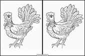 Poules - Animaux 1