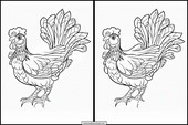 Galline - Animali 1