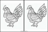 Galline - Animali 2