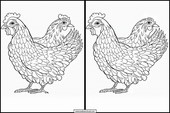 Poules - Animaux 4