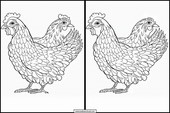 Gallinas - Animales 4