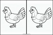 Galline - Animali 5