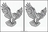 Hawks - Animals 3