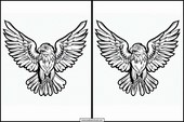 Hawks - Animals 4