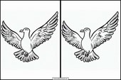 Seagulls - Animals 4